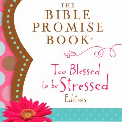 The Bible Promise Book: Too Blessed to be Stressed Edition